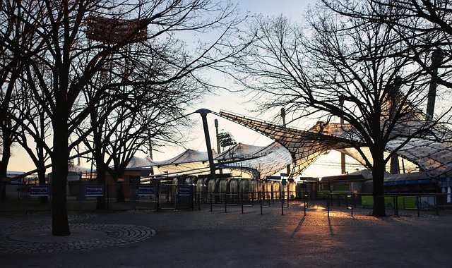 及时的传球 及时的传球