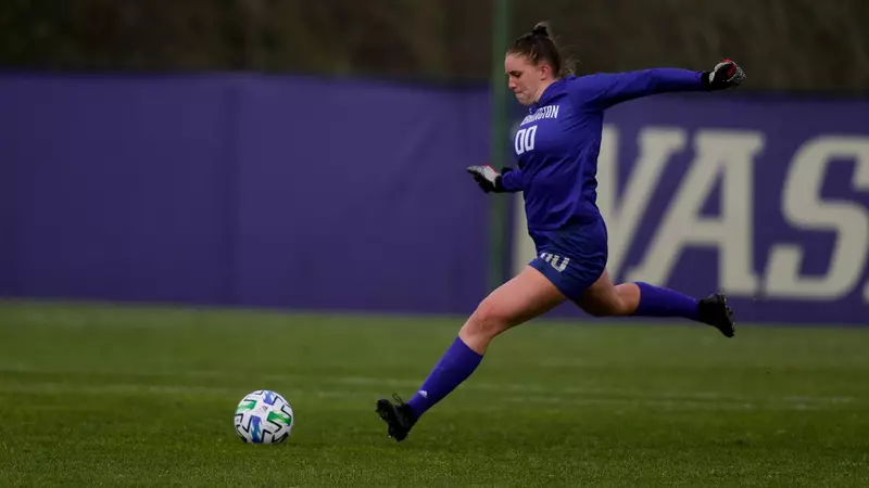 这自然招致 这自然招致