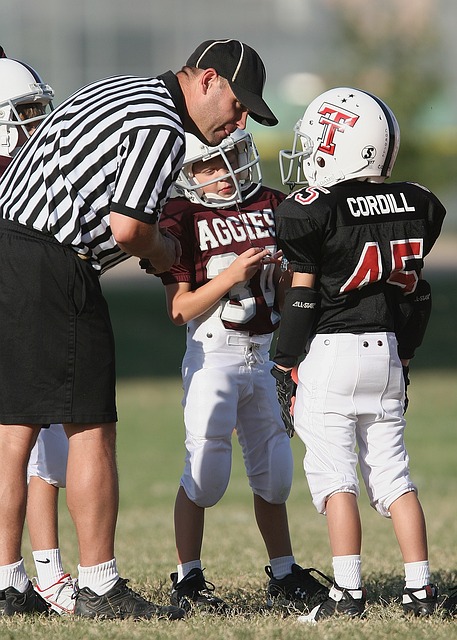 临着支持者 临着支持者